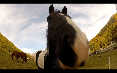 Skärmavbild 2013-11-09 kl. 10.17.33