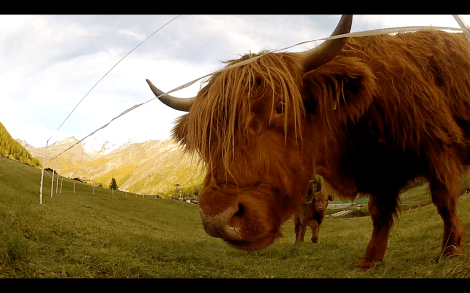 Skärmavbild 2013-11-09 kl. 10.19.38