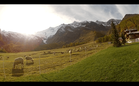 Skärmavbild 2013-11-09 kl. 10.31.42